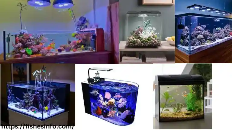 aquarium-tank-size