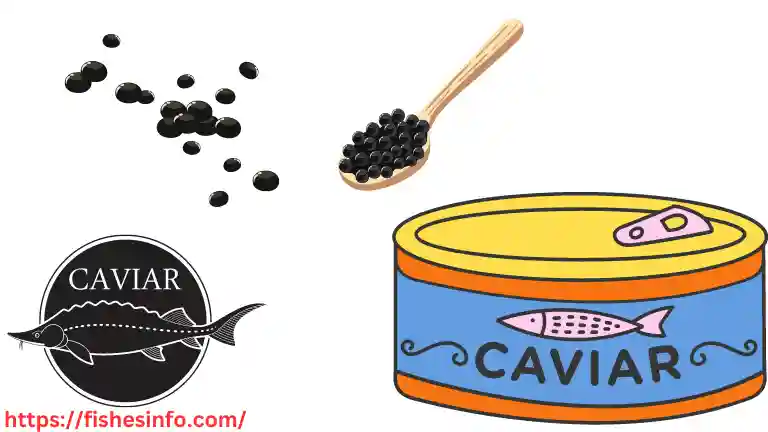 caviar