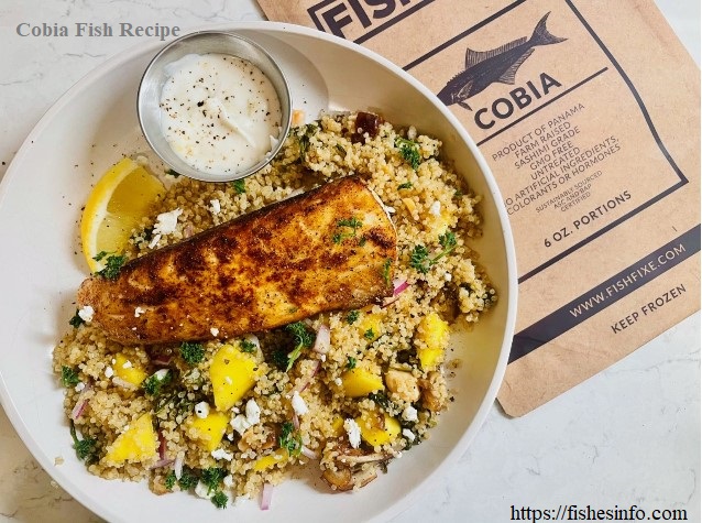 Cobia Fish: The Most Delicious Fish You Are Missing Out On!