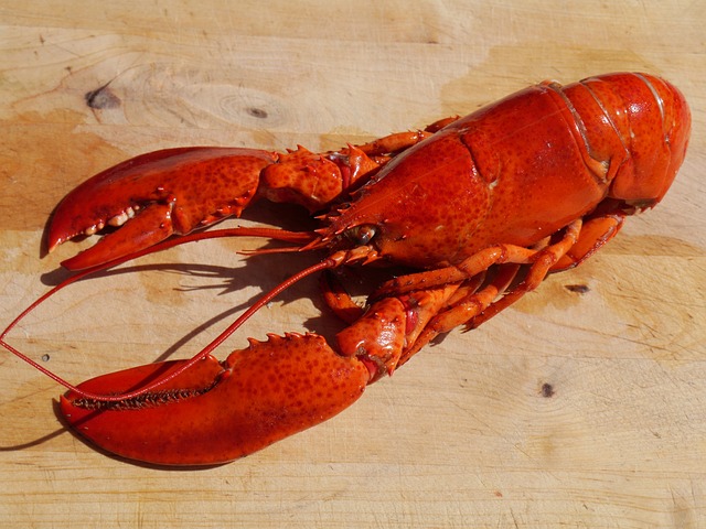 Lobster: A Culinary Treasure – History, Preparation, and Serving Suggestions