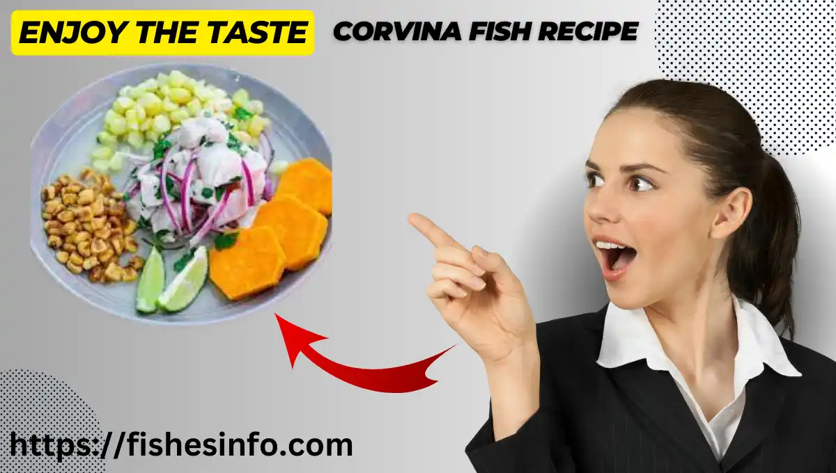 corvina-fish