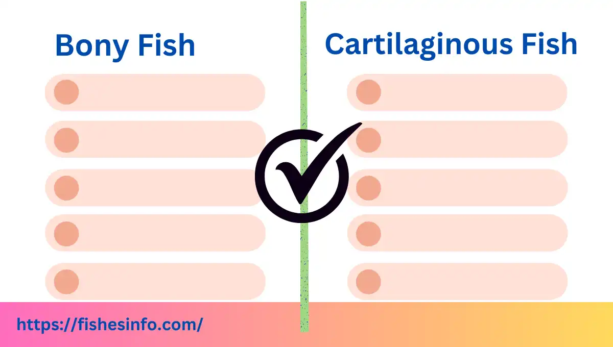 difference-between-bony-and-cartilaginous-fish