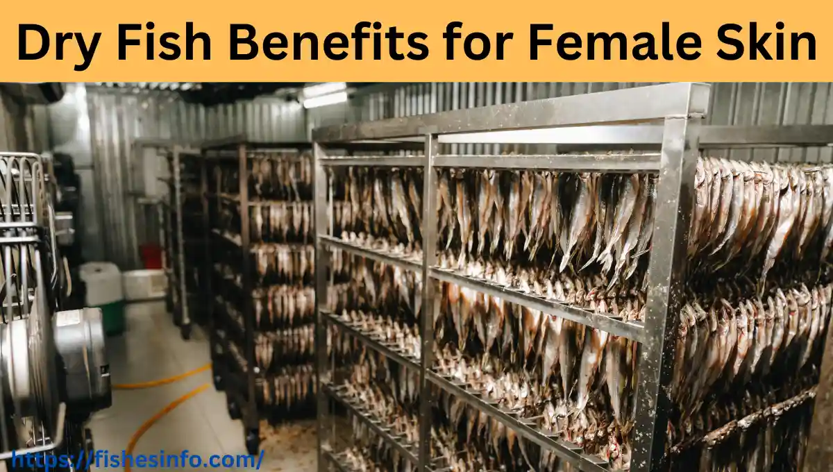 dry-fish-benefits-for-female-skin