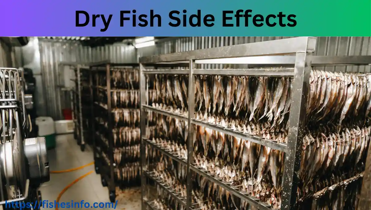 dry fish side effects