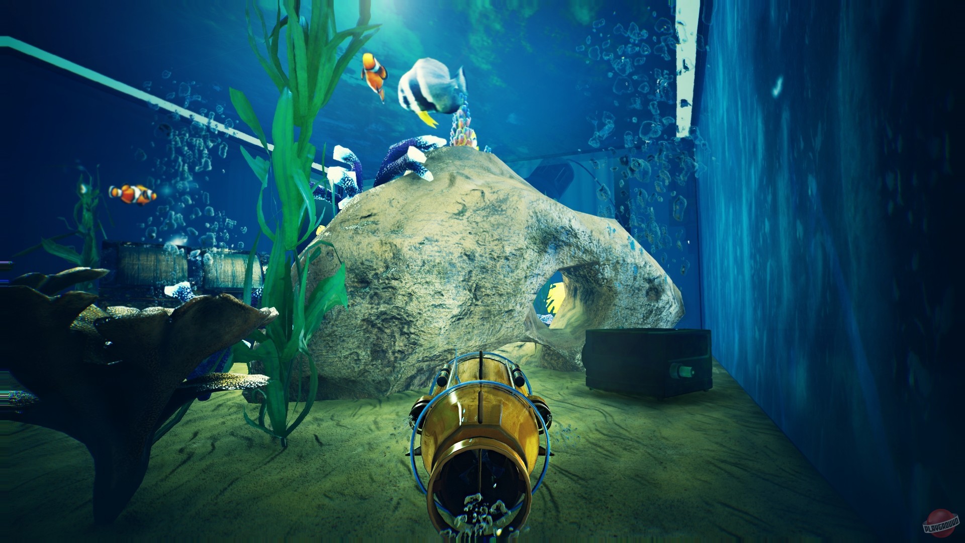 Top 10 Mistakes New Fishkeepers Make
