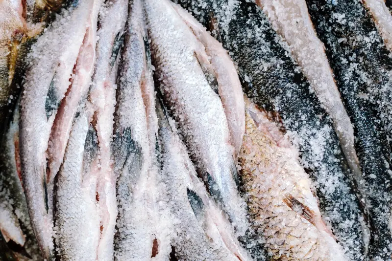 Heaters and Thermometers: Keeping Fish at the Right Temperature